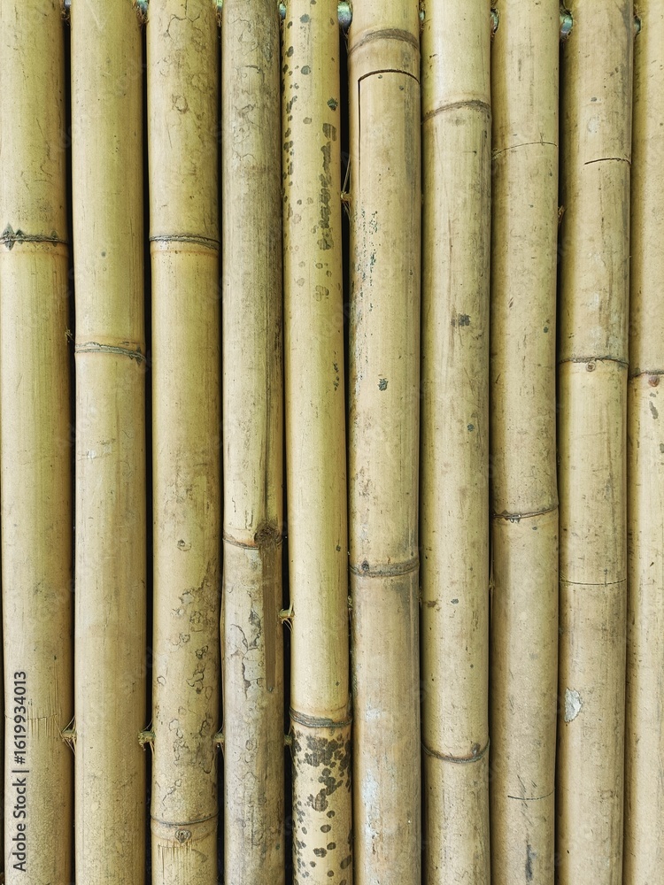 Fototapeta premium Detail of weathered bamboo barrier made of tall bamboo poles side by side