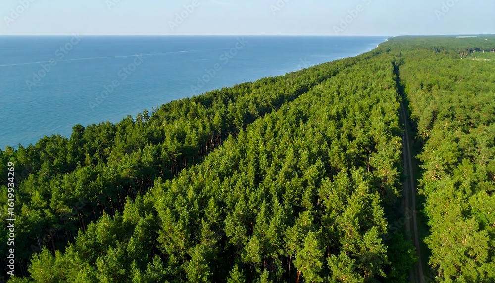 Naklejka premium Lush forest meets the ocean