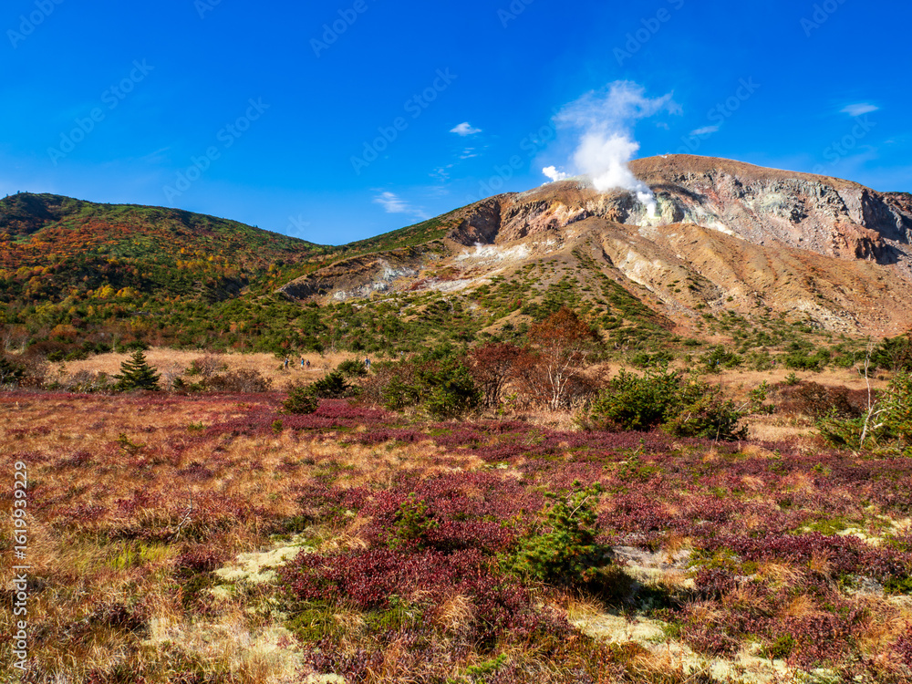 Fototapeta premium 栂平園地