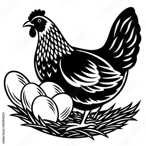 Black and White Hen Sitting on Eggs in Nest.