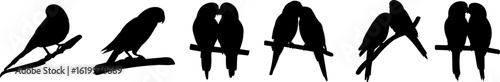 parrot sitting on a branch, parrot lovebirds, silhouette, vector