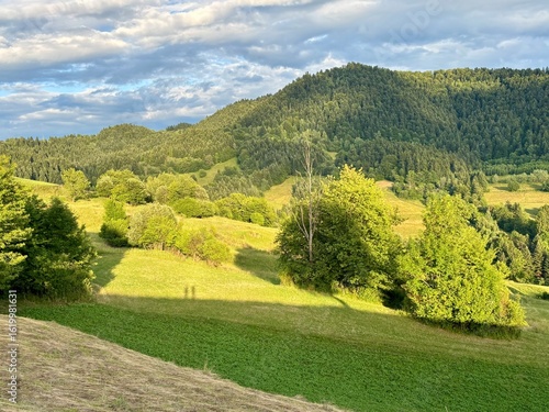 Fototapeta Naklejka Na Ścianę i Meble -  Beskid Sądecki latem