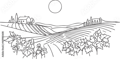 Sketch vineyard simple landscape. Hand drawn monochrome vintage horizontal sketch