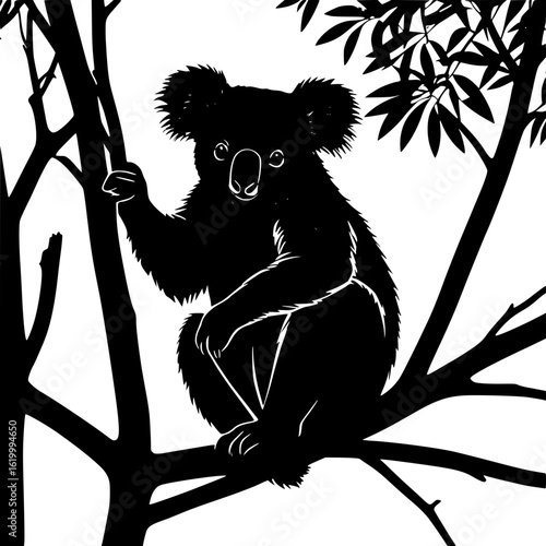 Silhouette of a koala sitting on a tree limb