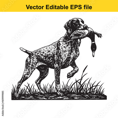 German Shorthaired Pointer Vintage Black & White Hunting Dog Illustration with Muller Duck – Standing, Jumping, and Hunting Pose