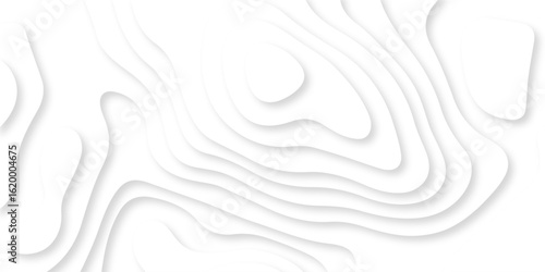 Abstract Luxury diamond creative topography map background vector natural shadow papercut web topography map spiral line. white light dynamic smooth cover origami papercut texture background.	
