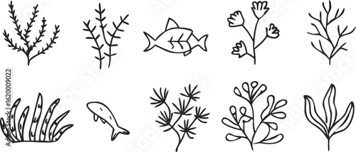 Assortment of eight underwater flora and fauna line art icons on black background ocean marine