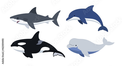 Collection of Marine Animals: Shark, Dolphin, Orca, and Beluga Whale