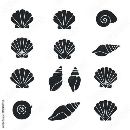 Collection of shell silhouettes: various marine shell designs and patterns. Vector illustration