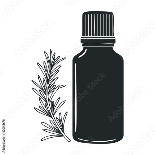 Black and white essential oil bottle with rosemary. Vector illustration