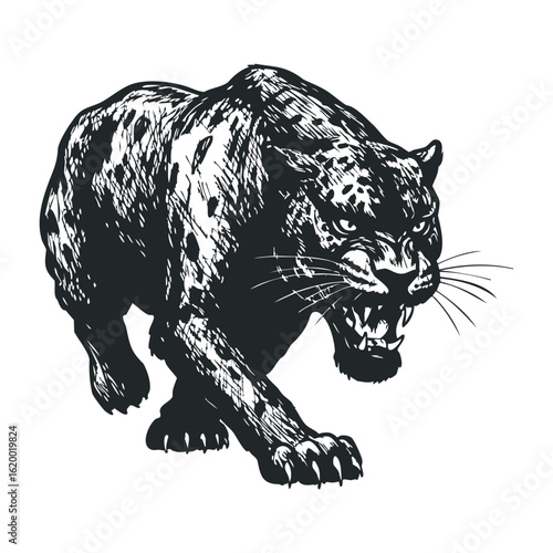 Fierce black panther illustration in monochrome style. Vector illustration