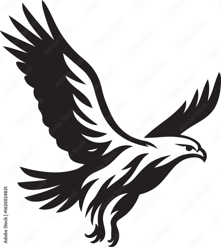 Fototapeta premium Detailed eagle in flight black pattern, Aggressive bird of prey black and white