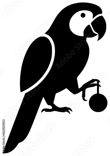 parrot perches on tree branch spreads wings to fly eats fruit sings sweet melody plays with toy snuggles with owner takes bath climbs rope looks in mirror sleeps in cozy nest with owner