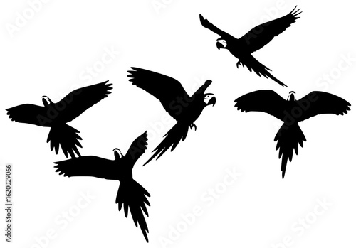 parrot perches on tree branch spreads wings to fly eats fruit sings sweet melody plays with toy snuggles with owner takes bath climbs rope looks in mirror sleeps in cozy nest with owner