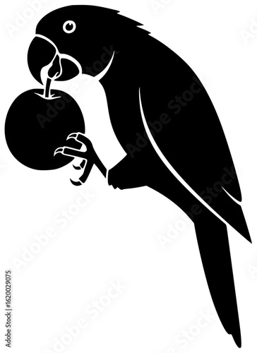 parrot perches on tree branch spreads wings to fly eats fruit sings sweet melody plays with toy snuggles with owner takes bath climbs rope looks in mirror sleeps in cozy nest with owner