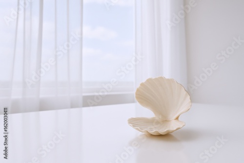 Elegant White Shell Decorative Object on Minimalist Table with Natural Light