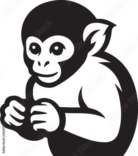Sitting monkey holding item vector, Cute black and white primate graphic