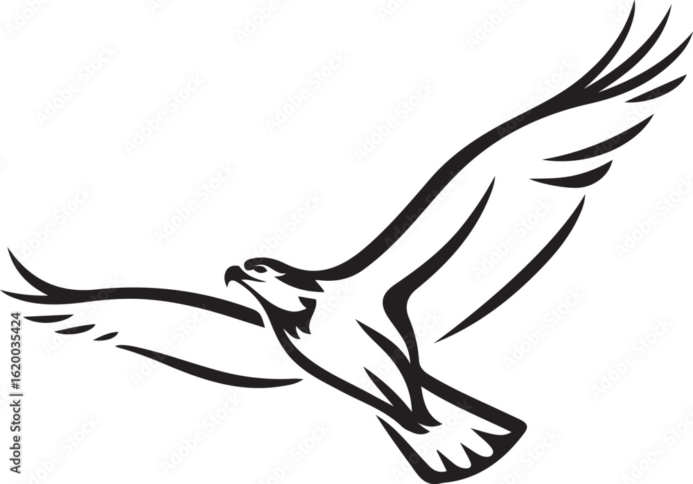 Fototapeta premium Minimalist bird of prey in flight design, Black and white raptor vector silhouette
