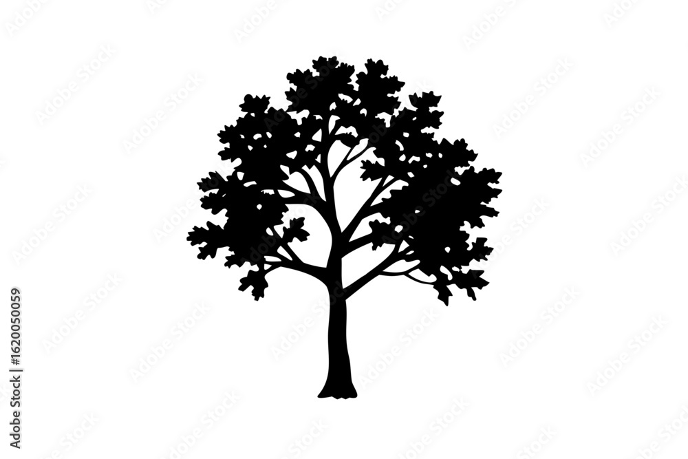 Obraz premium Blue Ginkgo Tree Silhouette on White Background nature