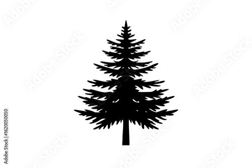 Blue fir tree silhouette on white background evergreen tree