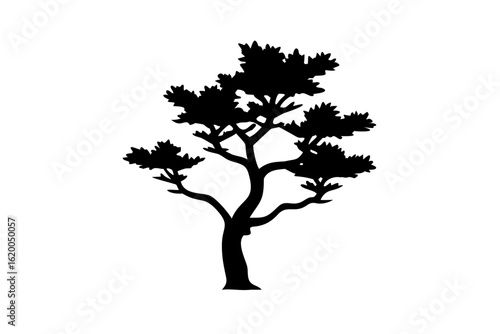 Blue juniper tree silhouette on white nature