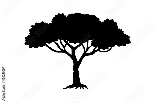 Blue Mangrove Tree Silhouette nature plant