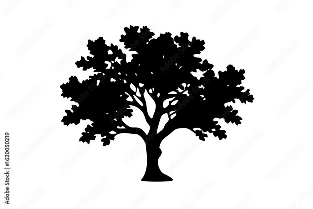 Fototapeta premium Blue Oak Tree Silhouette nature