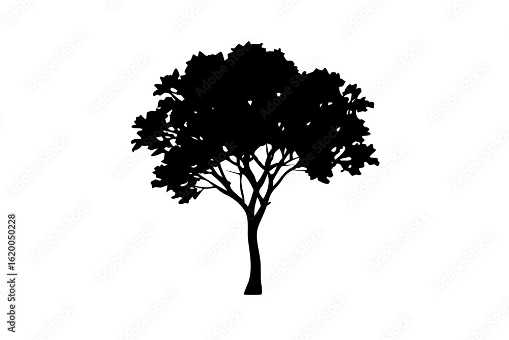 Fototapeta premium Blue Rowan Tree Silhouette nature