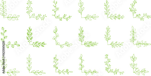Collection of delicate green leafy corner flourishes isolated on transparent background
