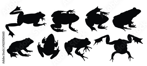 Set of big frogs silhouettes.
