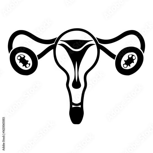 Ovary with egg anatomy diagram for medical education. Ovary with egg illustration showcases female reproductive system, detailing ovary with egg development.