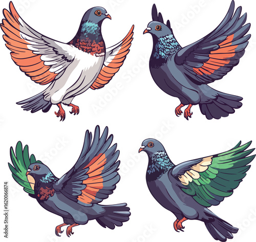 set of birds