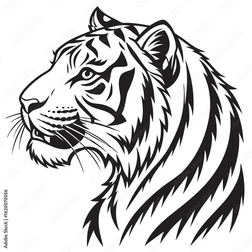 Fototapeta premium vector illustration of a tiger