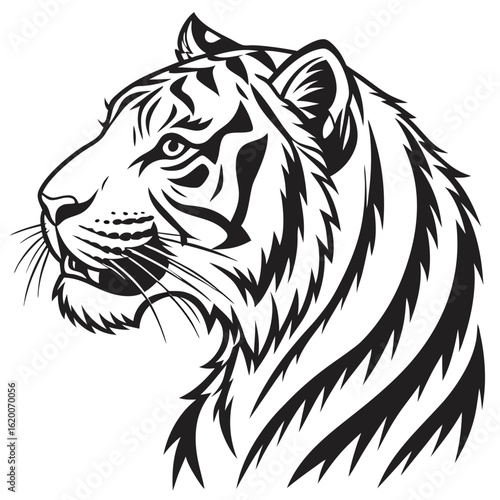 Wallpaper Mural vector illustration of a tiger Torontodigital.ca