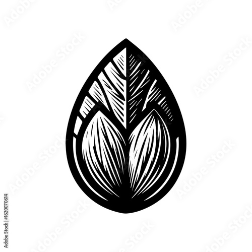 Stylized Black and White Leaf Icon.