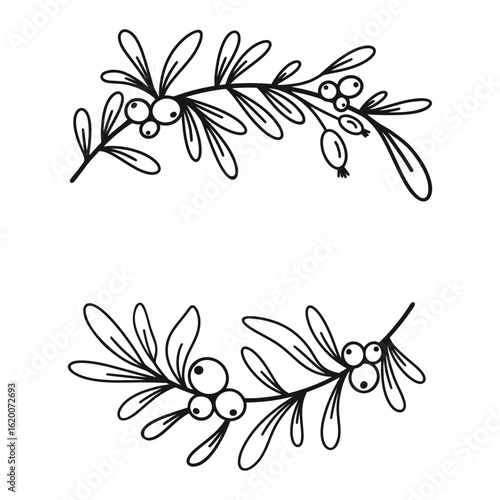 Merry Christmas border with fir branches, twigs, holly leaves and berries. Holiday vector illustration. Nature design greeting card template. Winter xmas decoration.