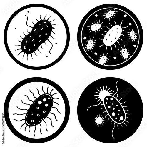 Illustration showing four different types of bacteria or germs in circular black and white designs