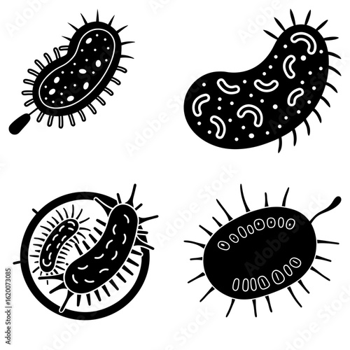 Illustration of four different types of bacteria cells with varying shapes and internal structures