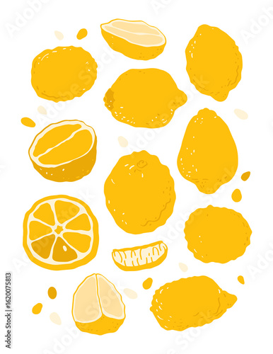 Set of hand drawn yellow lemons. Citrus and lemons, fresh vitamin