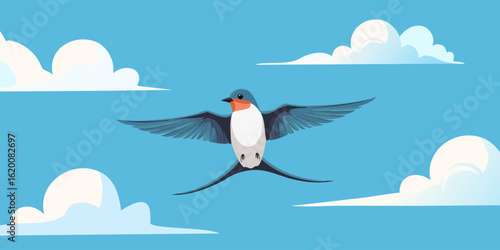 Cute swallow in the sky