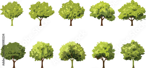 Watercolor illustration of stylized green trees with varying shapes and sizes arranged in three rows on a white background

