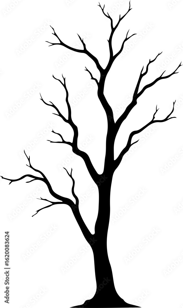 Obraz premium Bare Tree Silhouettes Collection bundle