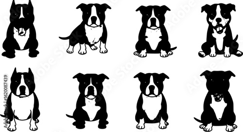 simple cartoon clipart Pitbull dog white background
