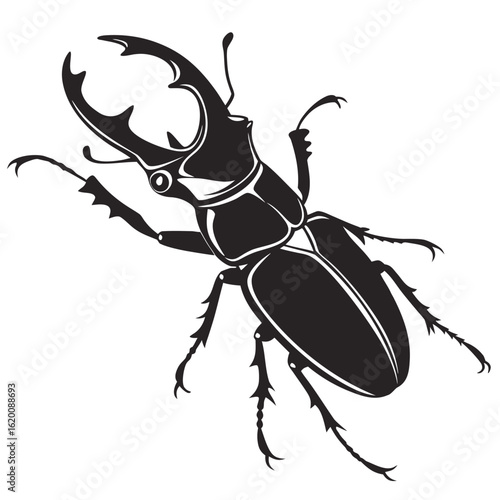 Black stag beetle, a close-up macro shot of the insect on a white background