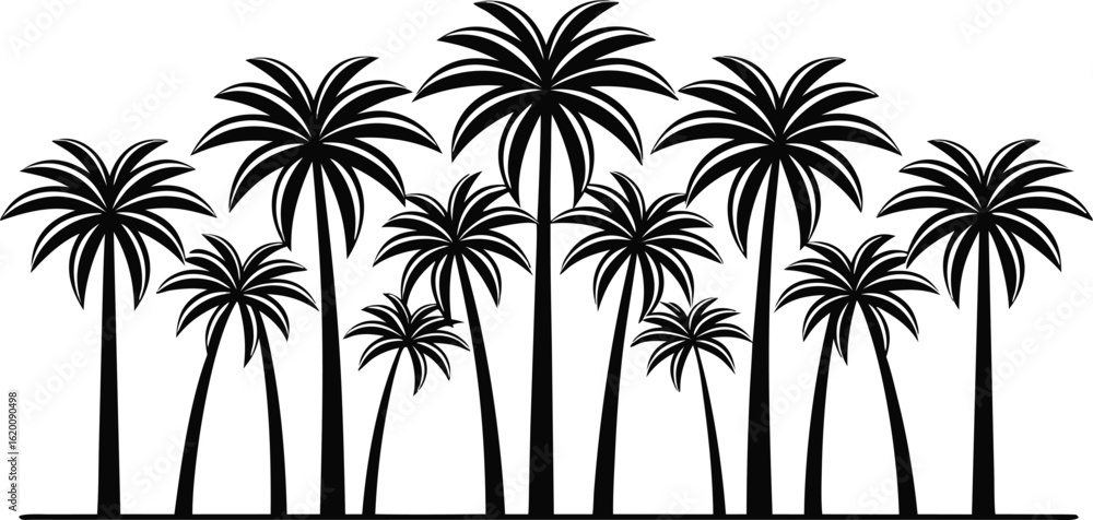 Fototapeta premium Group of palm trees silhouette isolated on transparent background