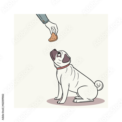 A Cute Pug Patiently Waiting for a Treat: The Adorable Bond Between Dogs and Their Owners

