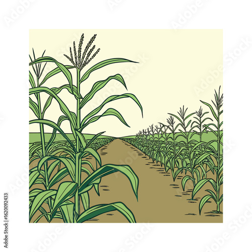 Path Through the Cornfield