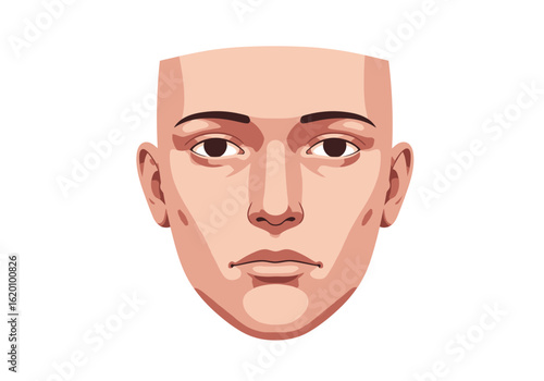 A stylized vector illustration of a human face looking directly forward with a neutral expression.