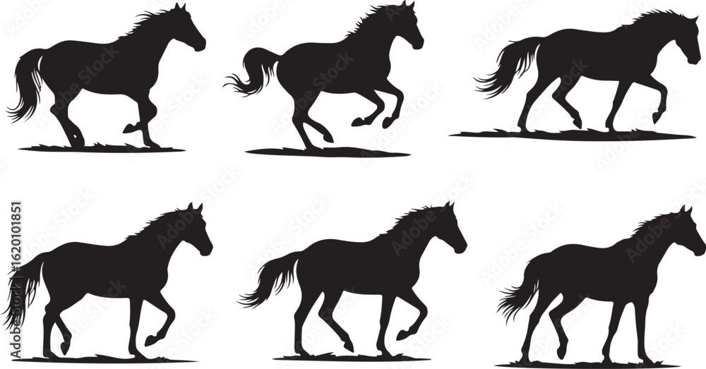 Fototapeta premium Six Silhouettes of Horses in Different Poses and Gaits Keywords: horse, equine, animal, silhouette, black and white, running, trotting