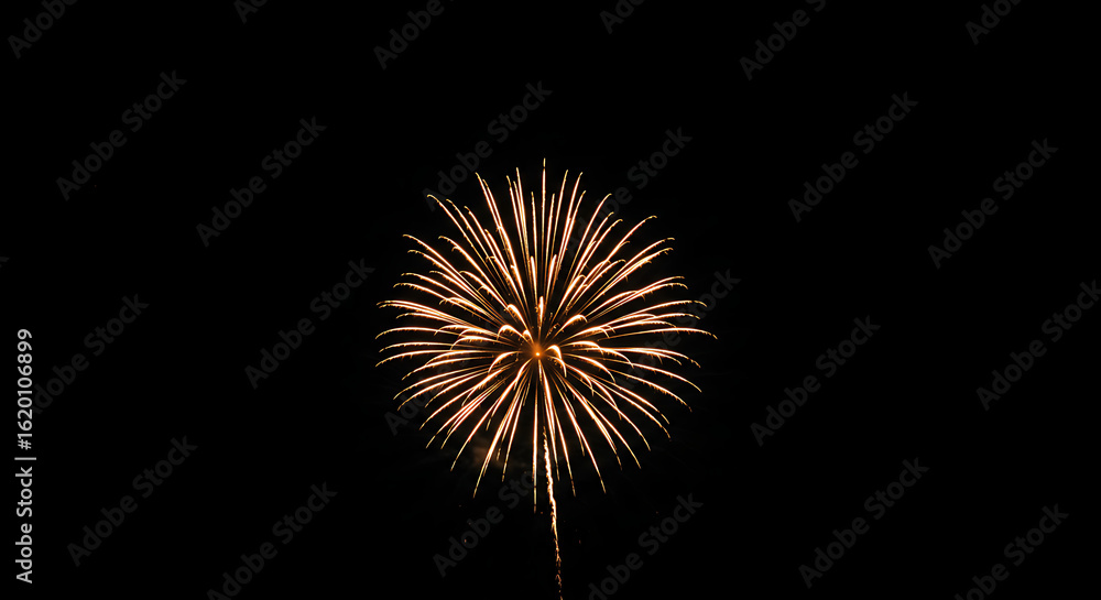 Obraz premium Golden Fireworks Display Against a Black Night Sky.